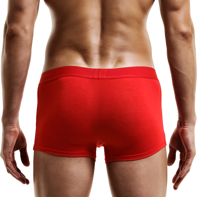 Herenondergoed, herenboxershor - Boxer Shorts Modal recensie en prijs
